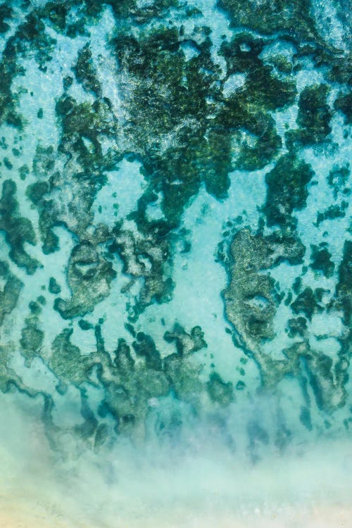 Ocean Reef Aerial, Abstract Nature, Seychelles