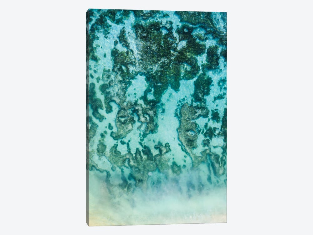 Ocean Reef Aerial, Abstract Nature, Seychelles by Matteo Colombo 1-piece Canvas Art