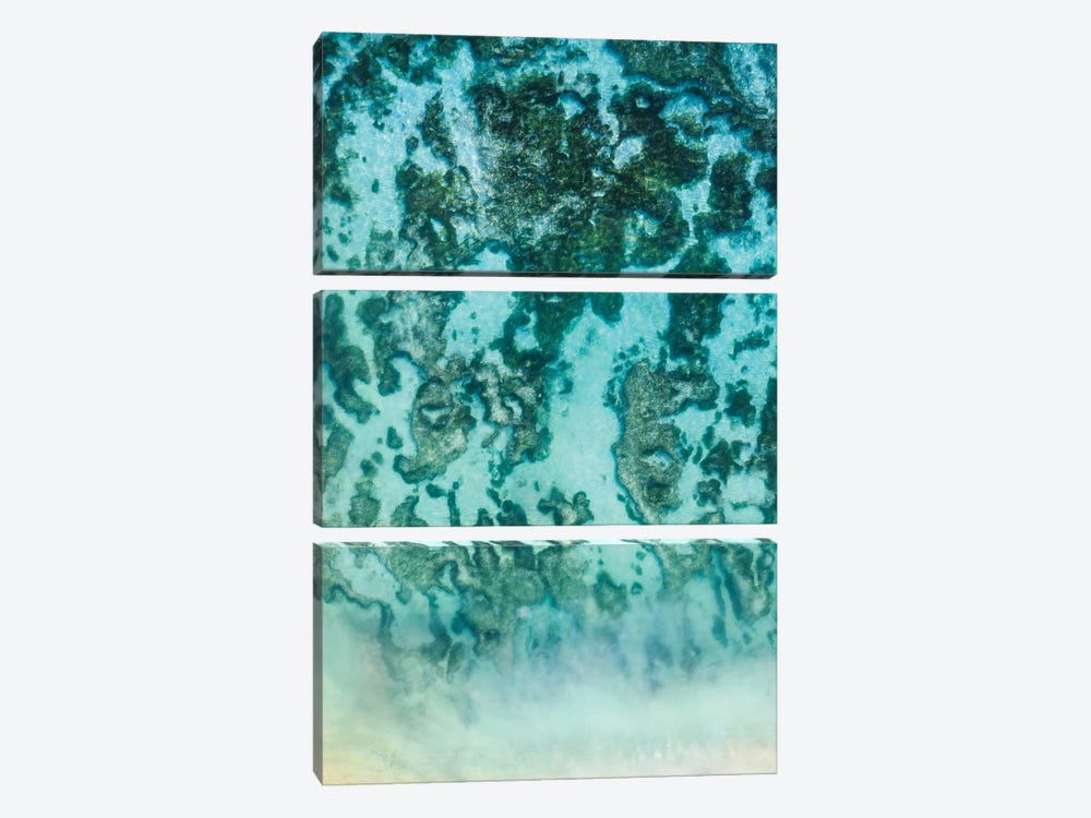 Ocean Reef Aerial, Abstract Nature, Seychelles by Matteo Colombo 3-piece Canvas Artwork