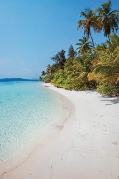 Tropical Beach In The Maldives II