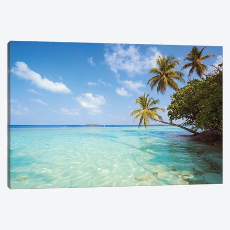 Palm Trees And Indian Ocean, Maldives Canvas Print #TEO1735} by Matteo Colombo Canvas Artwork