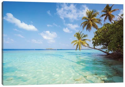Palm Trees And Indian Ocean, Maldives Canvas Art Print - Maldives