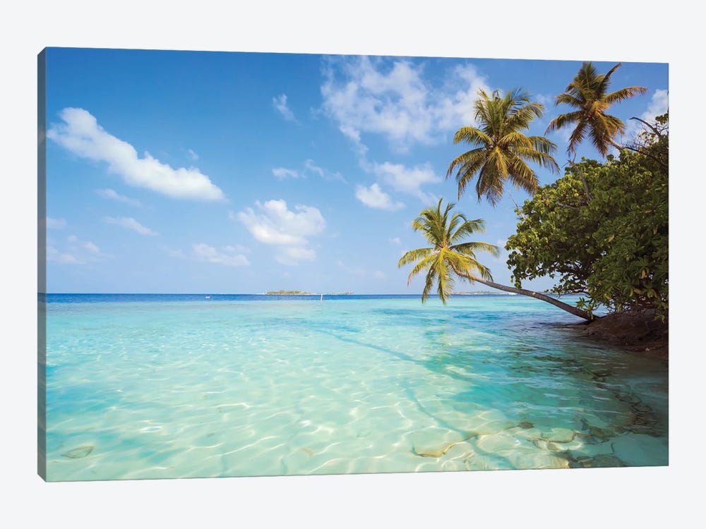 Palm Trees And Indian Ocean, Maldives by Matteo Colombo 1-piece Canvas Artwork