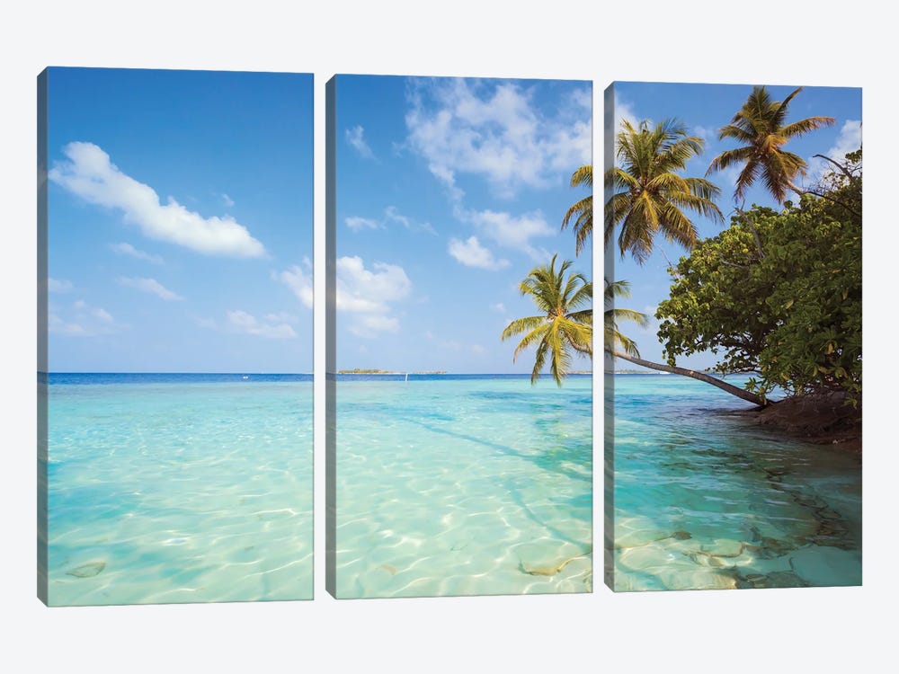Palm Trees And Indian Ocean, Maldives by Matteo Colombo 3-piece Canvas Art