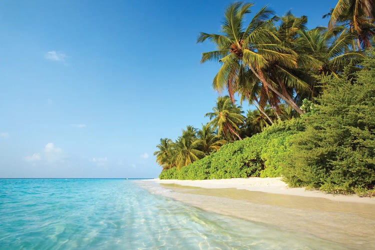 Idyllic Tropical Beach, Maldives, Indian Ocean by Matteo Colombo wall art
