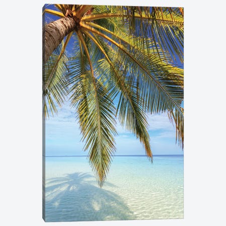 Palm Tree And Ocean, Maldives I Canvas Print #TEO1740} by Matteo Colombo Canvas Art