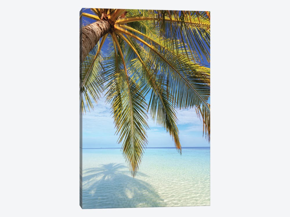 Palm Tree And Ocean, Maldives I by Matteo Colombo 1-piece Canvas Artwork