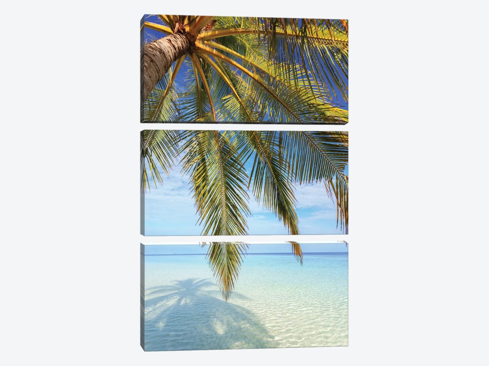 Palm Tree And Ocean, Maldives I by Matteo Colombo 3-piece Canvas Artwork