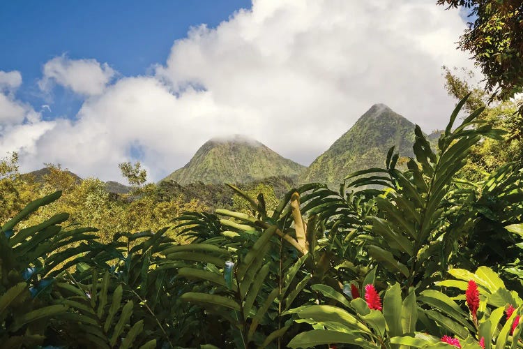 Piton Du Carbet Mountains, Martinique Island, Caribbean