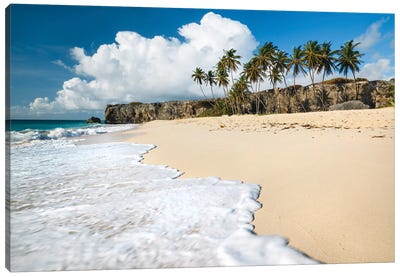 Sandy Beach, Bottom Bay, Barbados, Caribbean Canvas Art Print - Tropical Beach Art