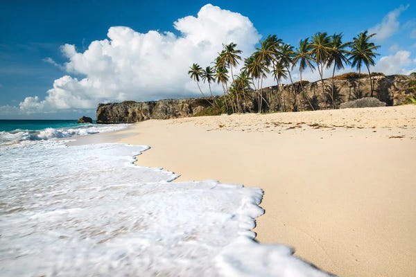 Beach Lover: Sandy Beach, Bottom Bay, Barbados, Caribbean by Matteo Colombo