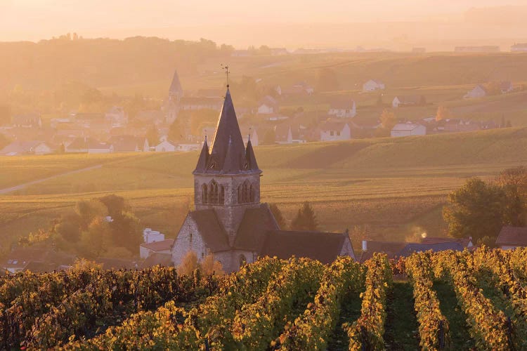 Ville Dommange Vineyards, Champagne, France