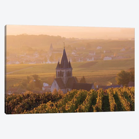 Ville Dommange Vineyards, Champagne, France Canvas Print #TEO176} by Matteo Colombo Canvas Print
