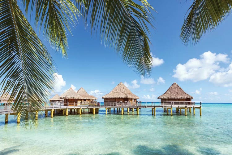 Water Bungalows In Rangiroa, French Polynesia