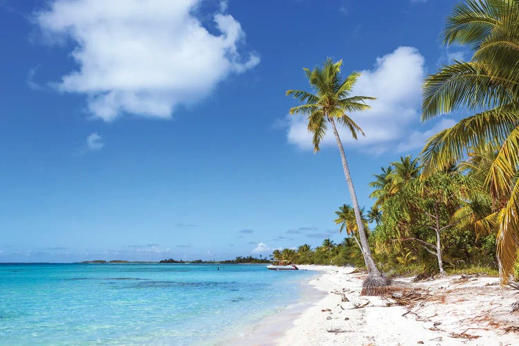 Pink Sand Tropical Beach, Tikehau Atoll, French Polynesia