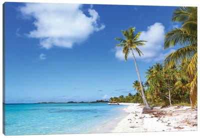 Pink Sand Tropical Beach, Tikehau Atoll, French Polynesia Canvas Art Print - French Polynesia Art