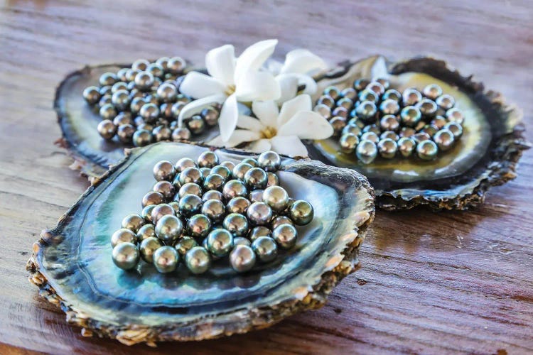 Black Pearls Of Tahiti, French Polynesia I