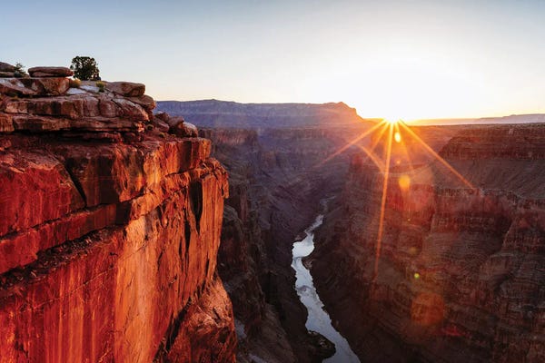 Grand Canyon National Park: Sunrise At Toroweap Point, Grand Canyon, Arizona by Matteo Colombo