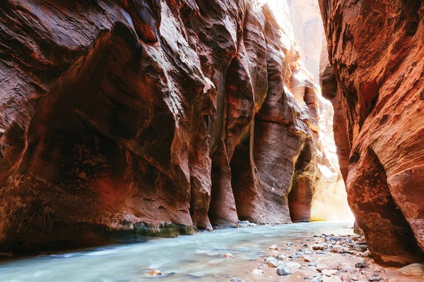 Matteo Colombo: The Narrows, Virgin River, Zion Canyon National Park by Matteo Colombo