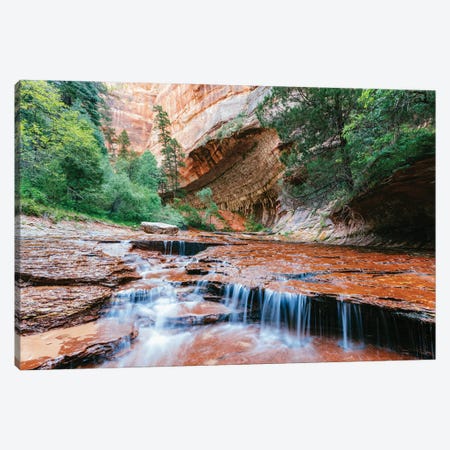 Arch Angel Falls, Zion Canyon National Park, Utah Canvas Print #TEO1888} by Matteo Colombo Canvas Art Print