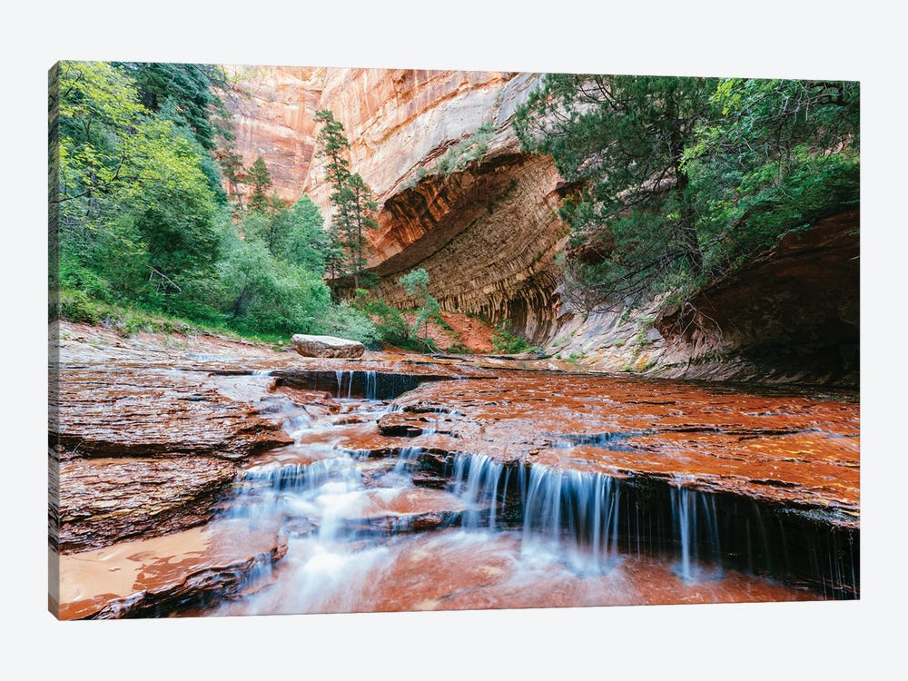 Arch Angel Falls, Zion Canyon National Park, Utah by Matteo Colombo 1-piece Canvas Artwork