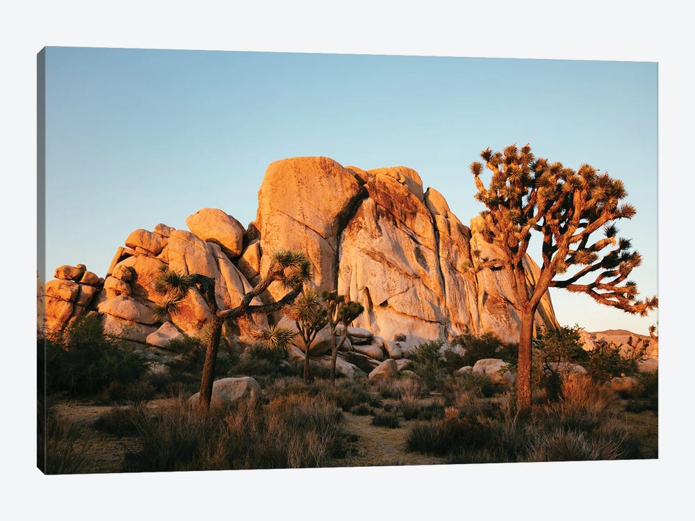 Sunset At Joshua Tree National Park by Matteo Colombo 1-piece Canvas Artwork