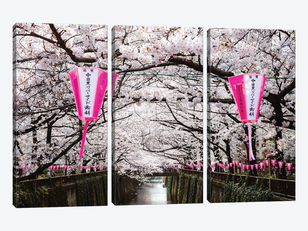 Cherry Blossoms And Lanterns, Naka Meguro, Tokyo by Matteo Colombo 3-piece Canvas Art Print