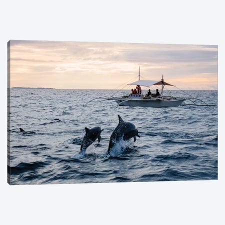 Dolphins Jumping Out Of Water, Philippines Canvas Print #TEO1927} by Matteo Colombo Art Print