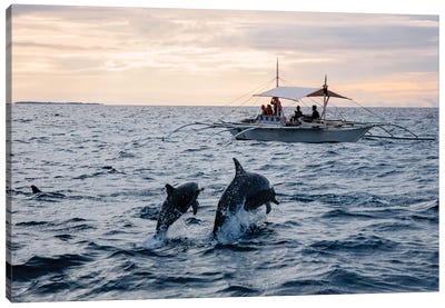 Dolphins Jumping Out Of Water, Philippines Canvas Art Print - Philippines Art