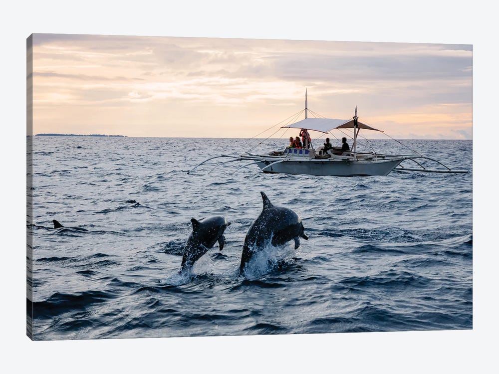 Dolphins Jumping Out Of Water, Philippines by Matteo Colombo 1-piece Canvas Wall Art