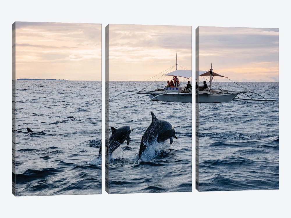 Dolphins Jumping Out Of Water, Philippines by Matteo Colombo 3-piece Canvas Wall Art
