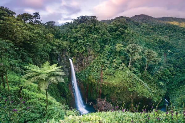 Central America: Catarata Del Toro Waterfall, Costa Rica by Matteo Colombo