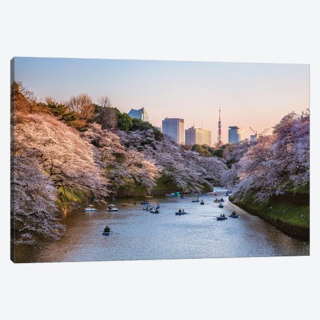 Sunset Over The Moat With Cherry Blossoms, Tokyo, Japan Canvas Print #TEO1930} by Matteo Colombo Canvas Art Print