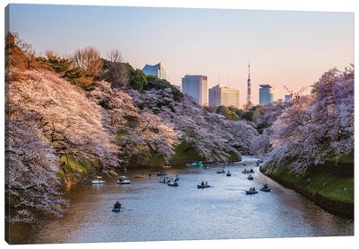 Sunset Over The Moat With Cherry Blossoms, Tokyo, Japan Canvas Art Print - Tokyo Art