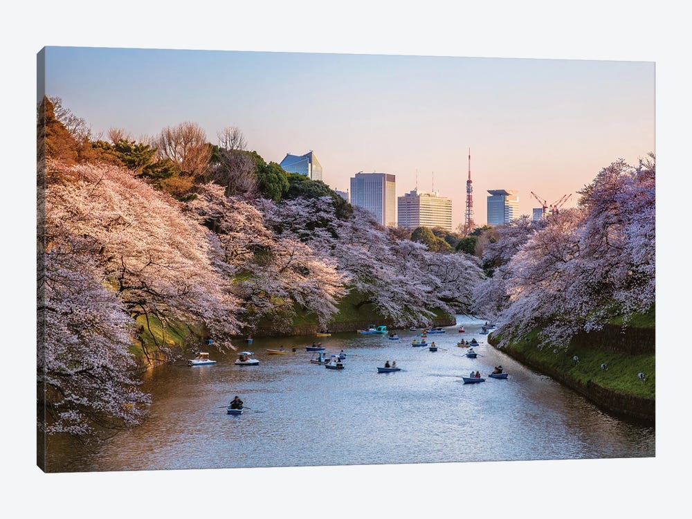 Sunset Over The Moat With Cherry Blossoms, Tokyo, Japan by Matteo Colombo 1-piece Canvas Wall Art