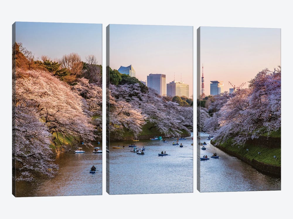 Sunset Over The Moat With Cherry Blossoms, Tokyo, Japan by Matteo Colombo 3-piece Canvas Artwork