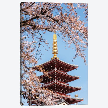 Five Story Pagoda And Cherry Blossoms, Tokyo, Japan Canvas Print #TEO1931} by Matteo Colombo Art Print