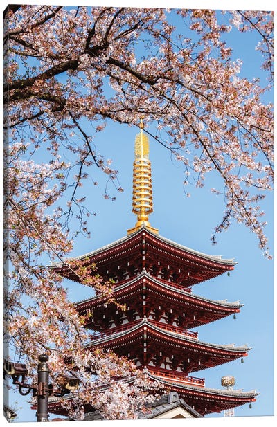 Five Story Pagoda And Cherry Blossoms, Tokyo, Japan Canvas Art Print - Pagodas