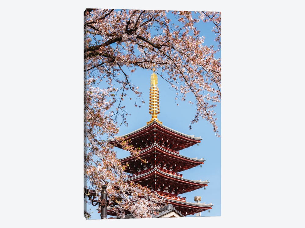 Five Story Pagoda And Cherry Blossoms, Tokyo, Japan by Matteo Colombo 1-piece Art Print