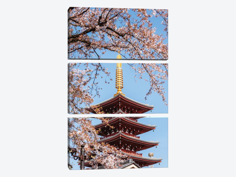 Five Story Pagoda And Cherry Blossoms, Tokyo, Japan by Matteo Colombo 3-piece Canvas Print