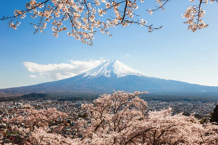 Mount Fuji With Cherry Tree In Bloom, Fuji Five Lakes, Japan