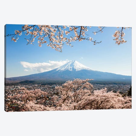 Mount Fuji With Cherry Tree In Bloom, Fuji Five Lakes, Japan Canvas Print #TEO1936} by Matteo Colombo Canvas Artwork