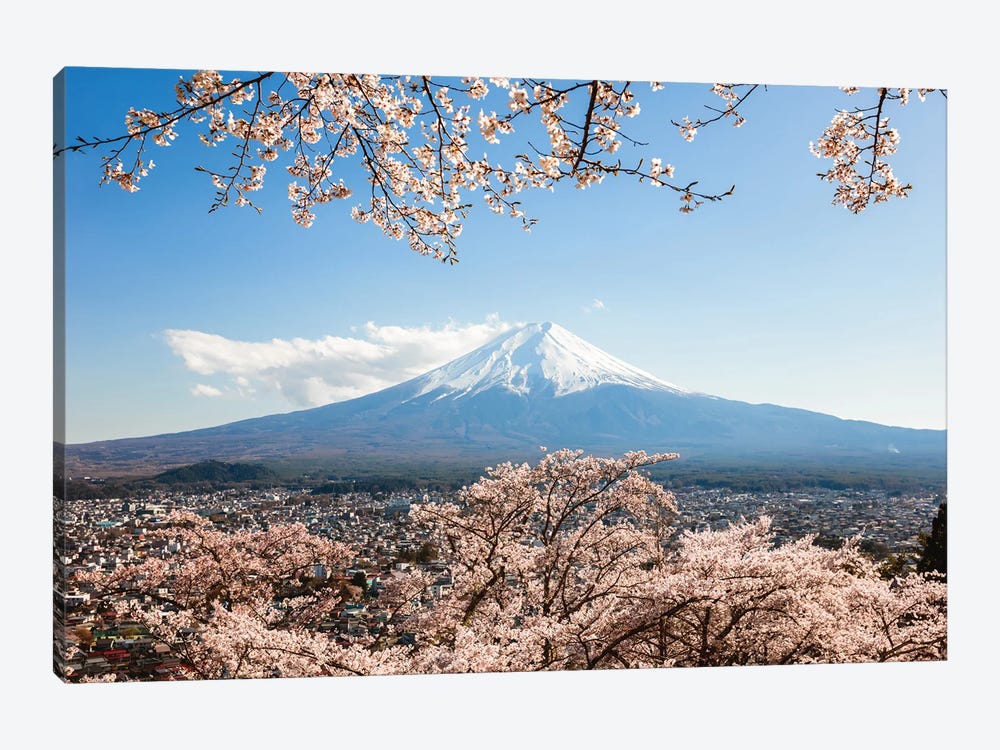 Mount Fuji With Cherry Tree In Bloom, Fuji Five Lakes, Japan by Matteo Colombo 1-piece Canvas Artwork