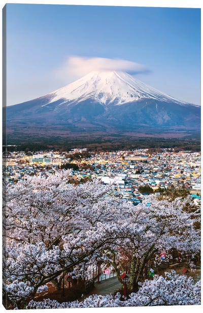 Sunrise Over Mount Fuji And Cherry Trees, Japan Canvas Art Print