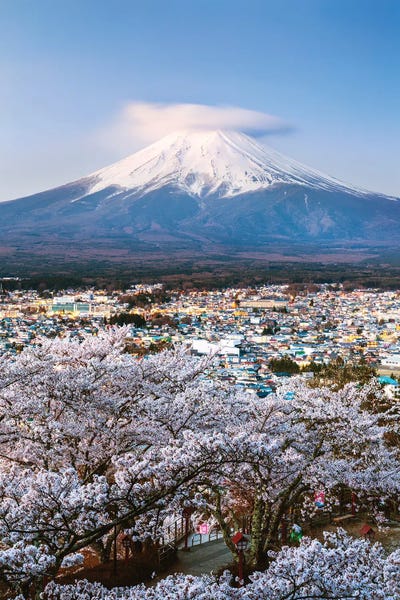 Cherry Blossoms: Sunrise Over Mount Fuji And Cherry Trees, Japan by Matteo Colombo