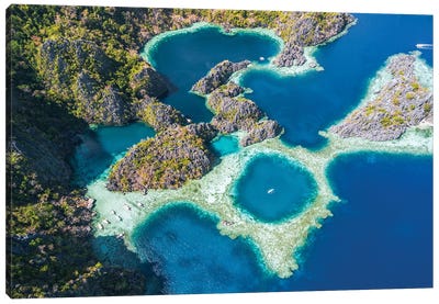 Twin Lagoons, Coron, Palawan, Philippines Canvas Art Print - Aerial Photography