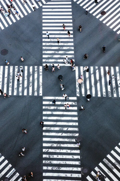 Aerial View Of Pedestrian Crossing, Tokyo, Japan I