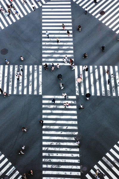 Aerial Photography: Aerial View Of Pedestrian Crossing, Tokyo, Japan I by Matteo Colombo