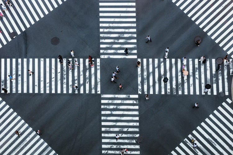 Aerial View Of Pedestrian Crossing, Tokyo, Japan II by Matteo Colombo wall art
