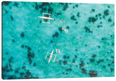 People Swimming With Turtle In The Turquoise Sea, Philippines Canvas Art Print - Aerial Photography
